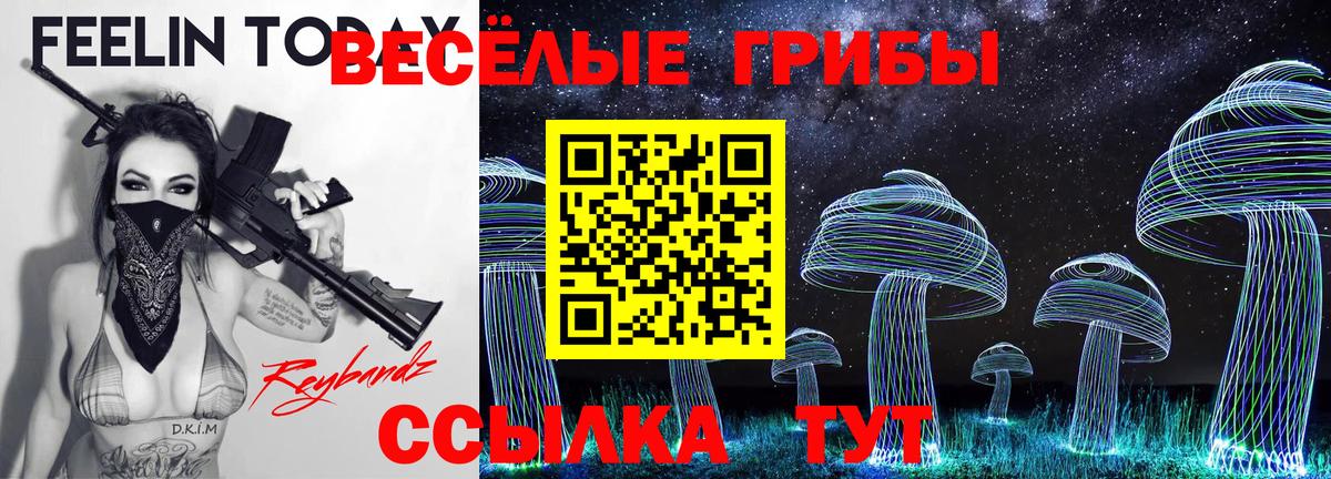 Острогожск  Псилоцибиновые грибы GOLDEN TEACHER  цены наркотик  Вход с VPN 